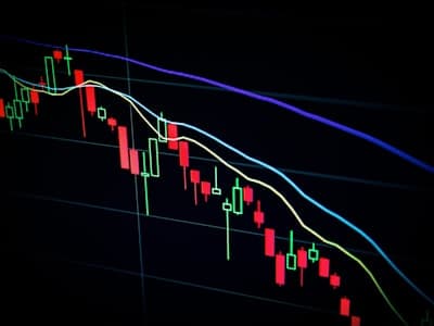 Forex Brokers
